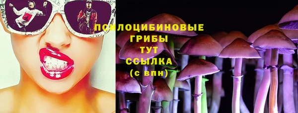 apvp Арсеньев