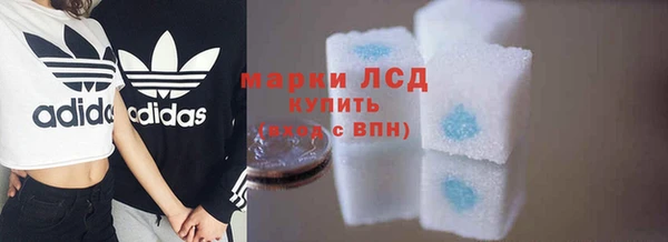 эйфоретик Аркадак