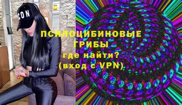 apvp Арсеньев