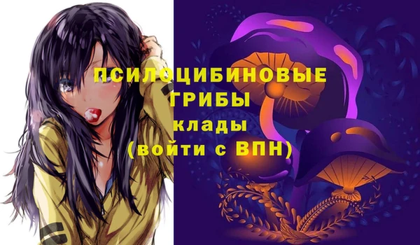 apvp Арсеньев