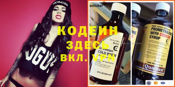 apvp Арсеньев