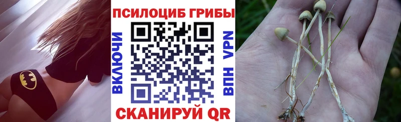 Галлюциногенные грибы ЛСД гидра tor Мирный
