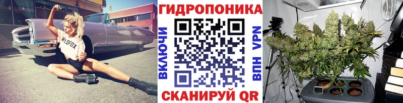 мориарти формула Мирный МАРИХУАНА планчик